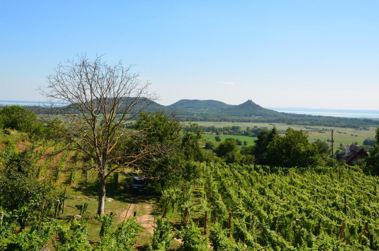 Grand Cru 3. Vendeghaz Villa Hegymagas ภายนอก รูปภาพ