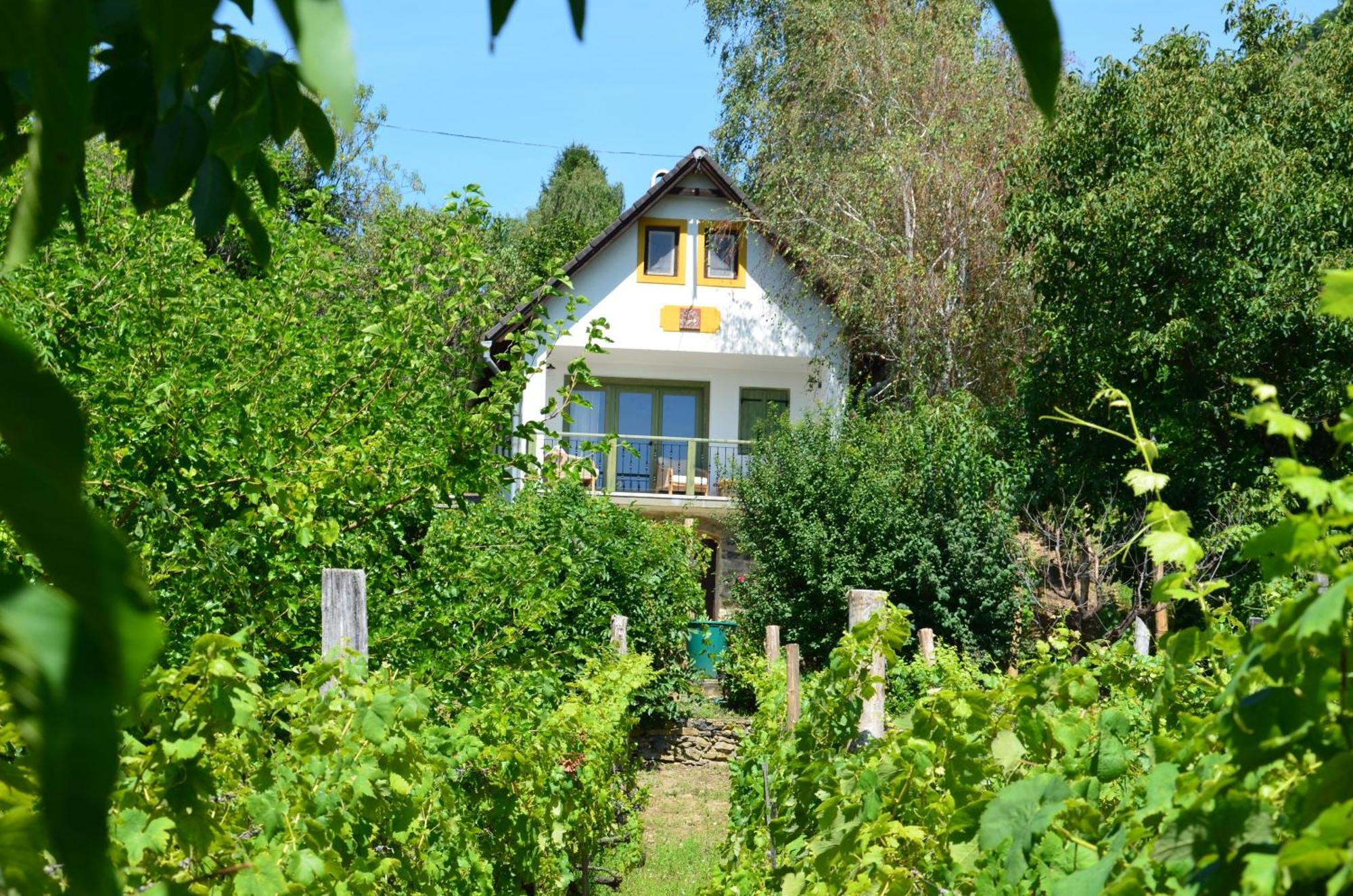 Grand Cru 3. Vendeghaz Villa Hegymagas ภายนอก รูปภาพ