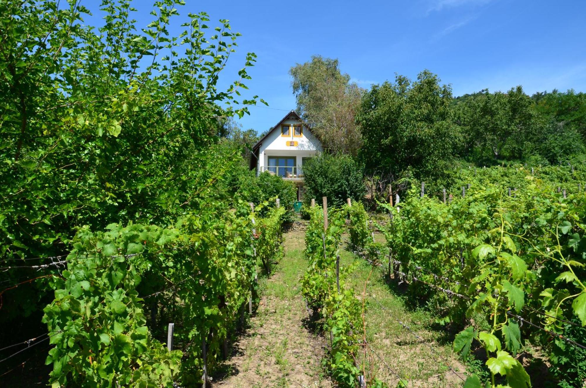 Grand Cru 3. Vendeghaz Villa Hegymagas ภายนอก รูปภาพ